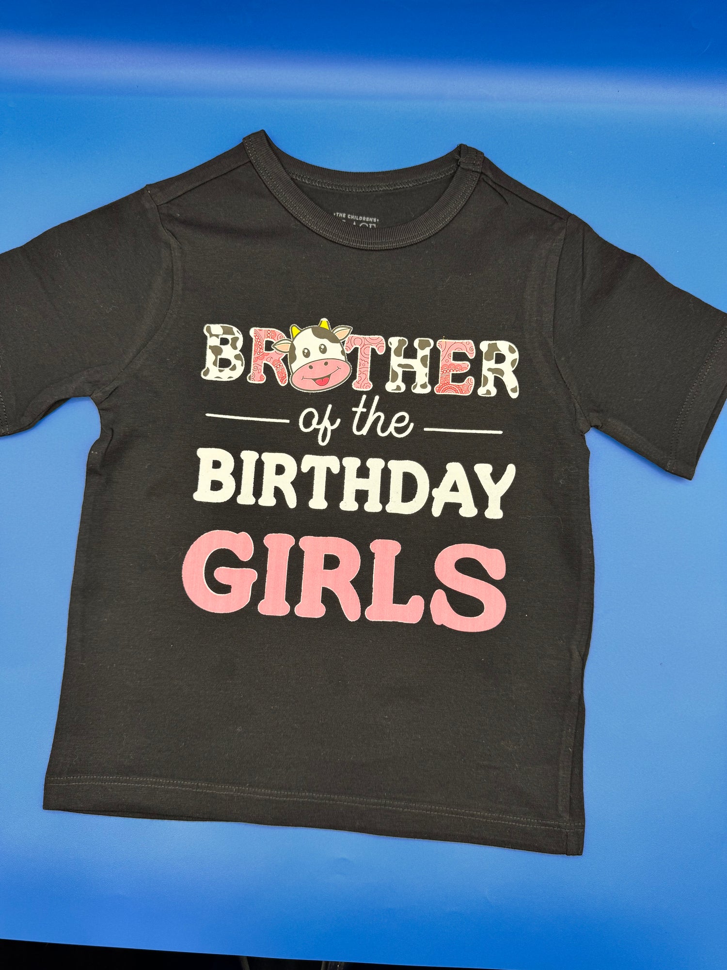 T-Shirt with Brother of the Birthday Girls Cow Design