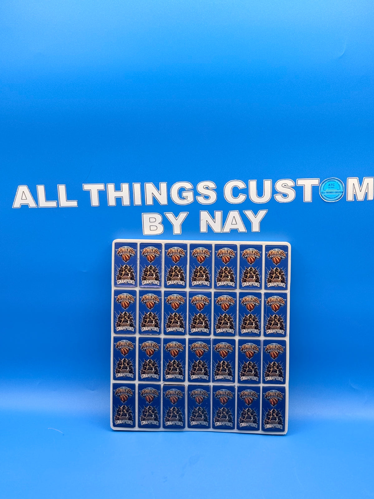 Blue & Orange Basketball Custom Resin Domino Set