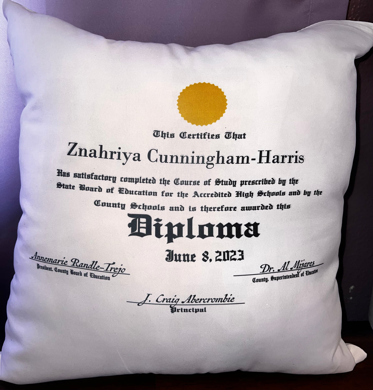 Diploma Throw Pillow