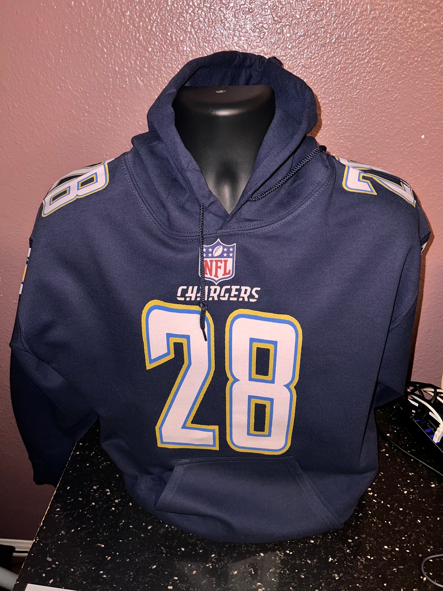 Custom Hoodie (Gordon 28)