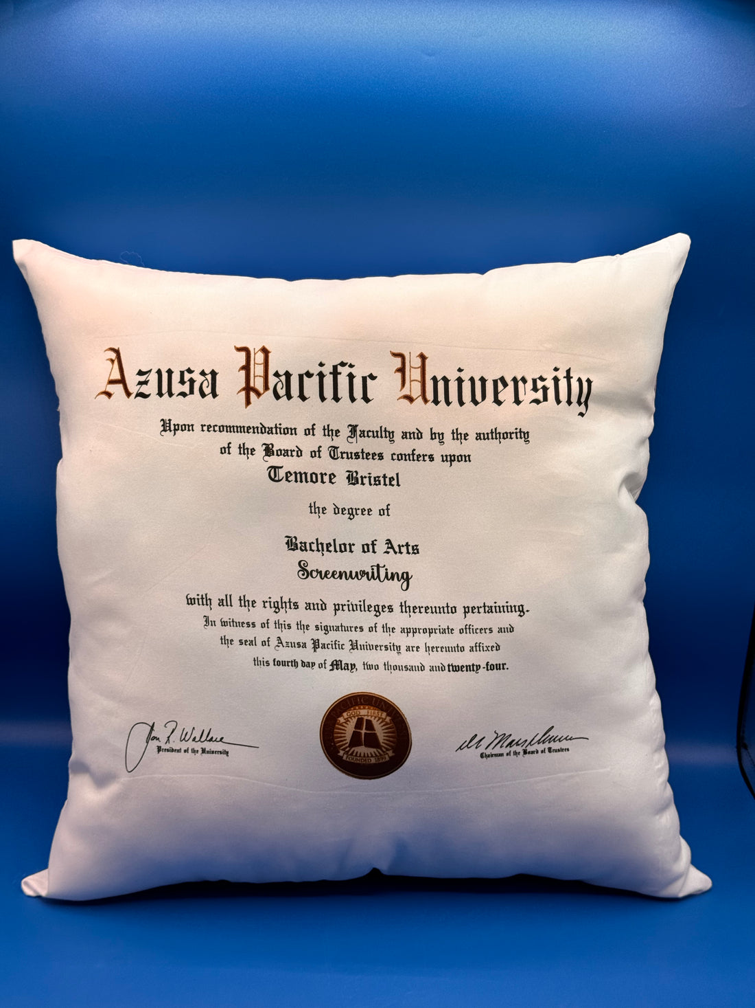 Diploma Throw Pillow