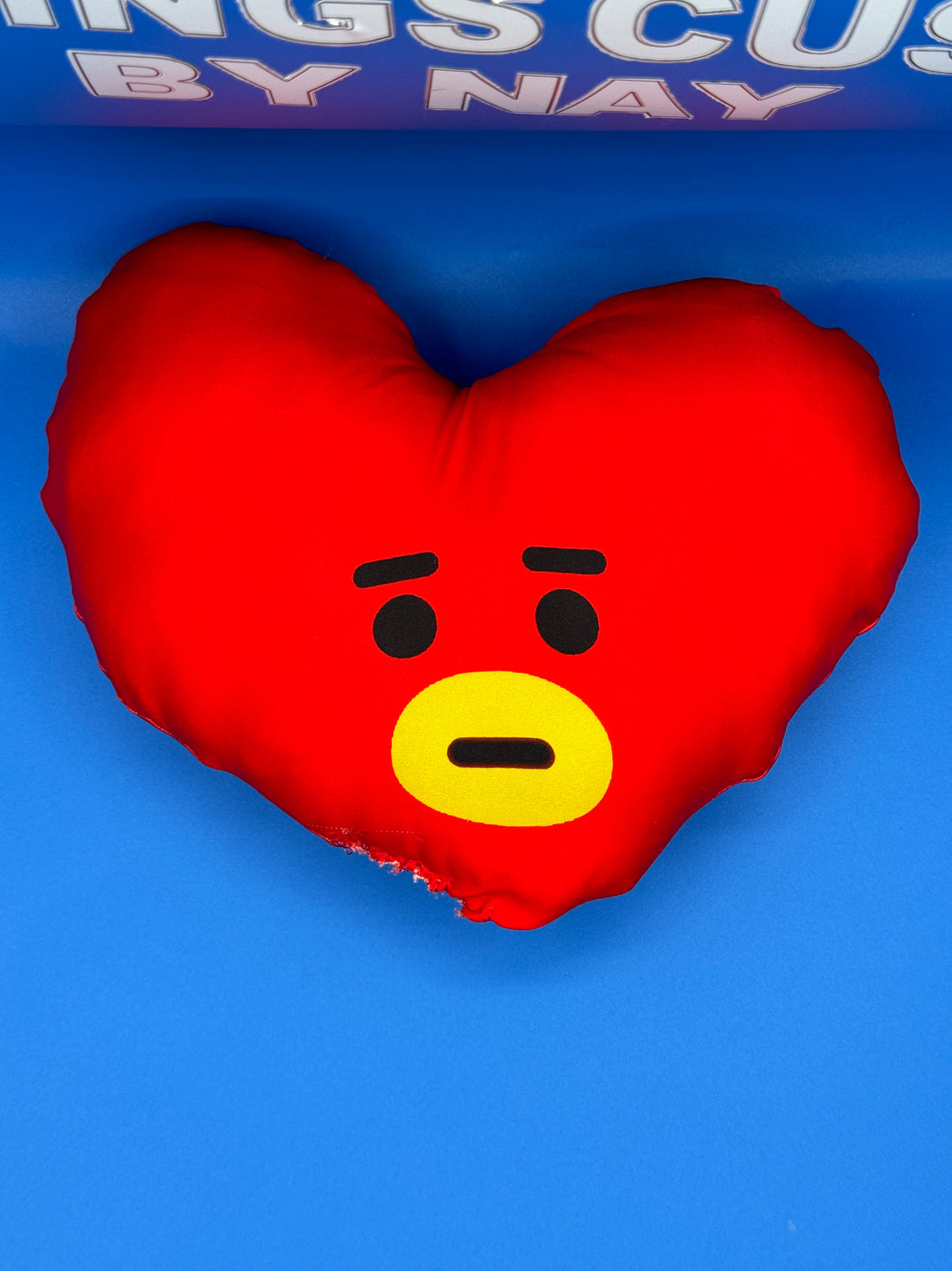 Tata-Inspired Stuffed Pillow