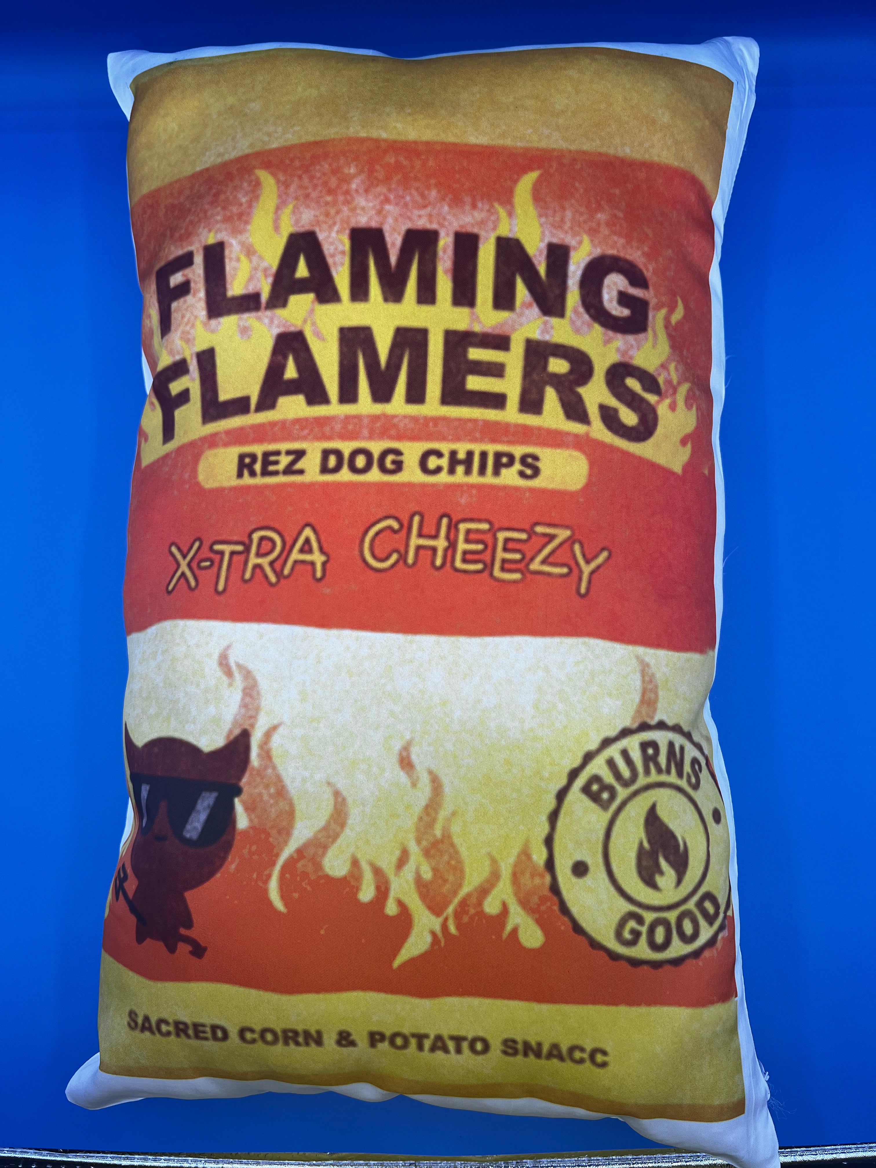 Flaming Flamers Photo Pillow