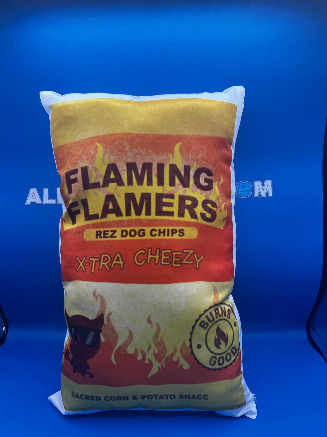Flaming Flamers Photo Pillow